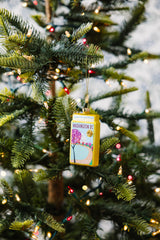 Furbish Matchbook Ornament | 3.5"