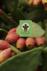 Nopalera Bar Soap & Dish Gift Set