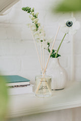Brooklyn Candle Studio Santal Reed Diffuser