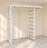 Indoor Monkey Bars