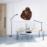 Artemide DEMETRA LED 9.2W 30K MP-MV W/DIM AND MOTION W/FLOOR SUPPORT Light