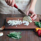 Coltellerie Berti Ham/Prosciutto Slicer | 10" full tang blade