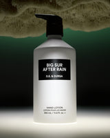 D.S. & Durga Big Sur After Rain Hand Lotion 350 ml