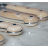 Coltellerie Berti Insieme Bone Cleaver | 6" full tang blade Lucite