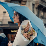 BLUNT Metro Umbrella | 39" Compact Windproof Travel Umbrella