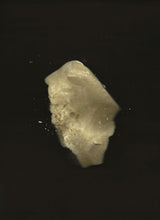 Cacao Rose – Lip, Brow & Cuticle Balm | Floral Infusion with Jasmine & Geranium