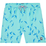 Tom & Teddy Men's Birds Swim Trunk | Aqua Green