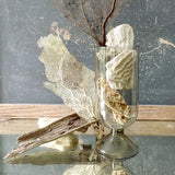 Skeem Design Empty Cloche | Smoke