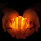 Pampshade Croissant Bread Lamp