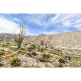 Juniper Ridge Jar Candle | 7oz