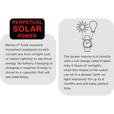 Bertucci A-3PS SOLAR FIELD Watch | Optic White Dial / Black Case | Nylon Band