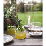 Farmhouse Pottery Sipping Glass | Set of 6