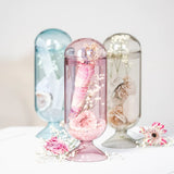 Skeem Design Empty Cloche | Smoke