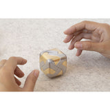 Craighill Tycho Puzzle