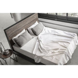 Sonder Living Zuma Bed