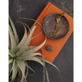 Skeem Design Palo Santo Offering Bowl