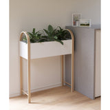 Umbra Grove Planter | White/Natural