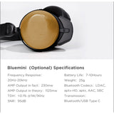 HifiMan HE-R10D Dynamic Version Headphones | Black/Wood