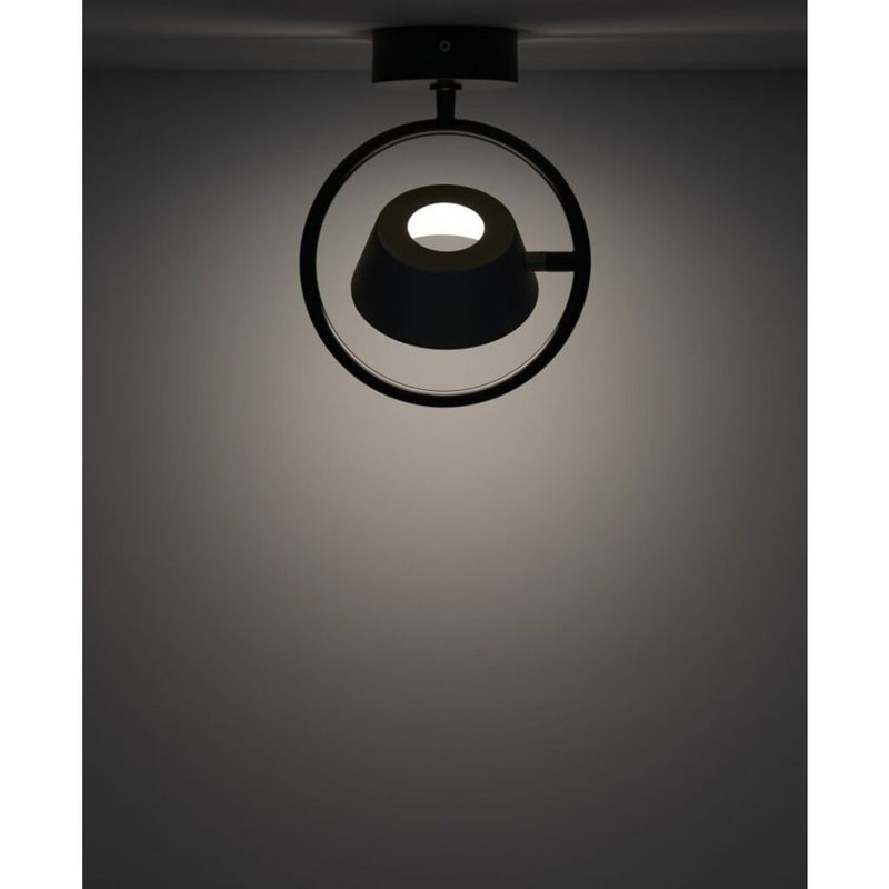 Seed Design OLO Ring Wall/Ceiling Lamp