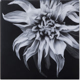 Resource Decor Black & White Flower | Epoxy F