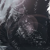 Resource Decor Sliver Leaf Palm Tree Print | Style A