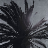 Resource Decor Sliver Leaf Palm Tree Print | Style B