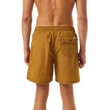 Katin Sundial Volley Trunks