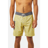 Katin Mache Trunk | Lime