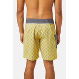 Katin Mache Trunk | Lime