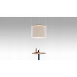 Artemide Ripple Suspension Ceiling Light