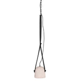 Nuevo Anora Lighting Pendant