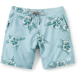 Katin Hibiscus Trunks