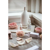 Woodlot Best Sellers Gift Set