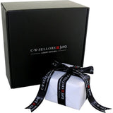 Sternglas Naos Automatic Watch | Sunburst Blue Silver/Premium Black