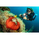 SeaLife Micro 3.0 Pro Sea Dragon 3000 Auto Set | SL550/SL678 Bundle Box