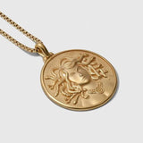 Awe Inspired Medusa Plus Snake Charm Necklace Set | Standard Chain