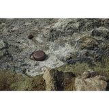 Bang & Olufsen BeoPlay A1 Portable Bluetooth Speaker Moss Green 1297848