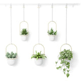 Umbra Triflora Hanging Planter 5, Large