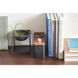 Yamazaki Accessory Holder & Watch Case With Tray | One size