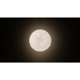 Artemide Meteorite 15 Suspension Light | White