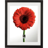 Umbra Document 13 x 16" Frame | Black