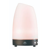 Serene House Glass Diffuser Dwb | 90mm