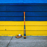 Pillbox Collaboration Paint Baseball Bats | Maple