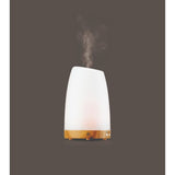Serene House Glass Diffuser Lwb | Astro White/125mm