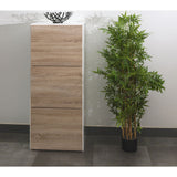 Temahome Bamboo Shoe Storage Cabinet