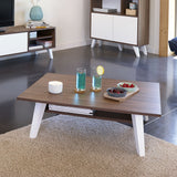 Symbiosis Prism Coffee Table w/ Magazine Rack | Walnut