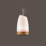 Serene House Glass Diffuser Lwb | Astro White/90mm