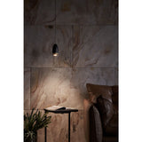 Seed Design Dawn Pendant Lamp