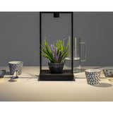 Artemide Curiosity 45 Table | 3.6W 80CRI 3000K Black