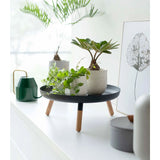 Yamazaki Countertop Pedestal Tray